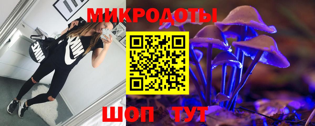 Тихвин  Псилоцибиновые грибы Cubensis  Вход с VPN 